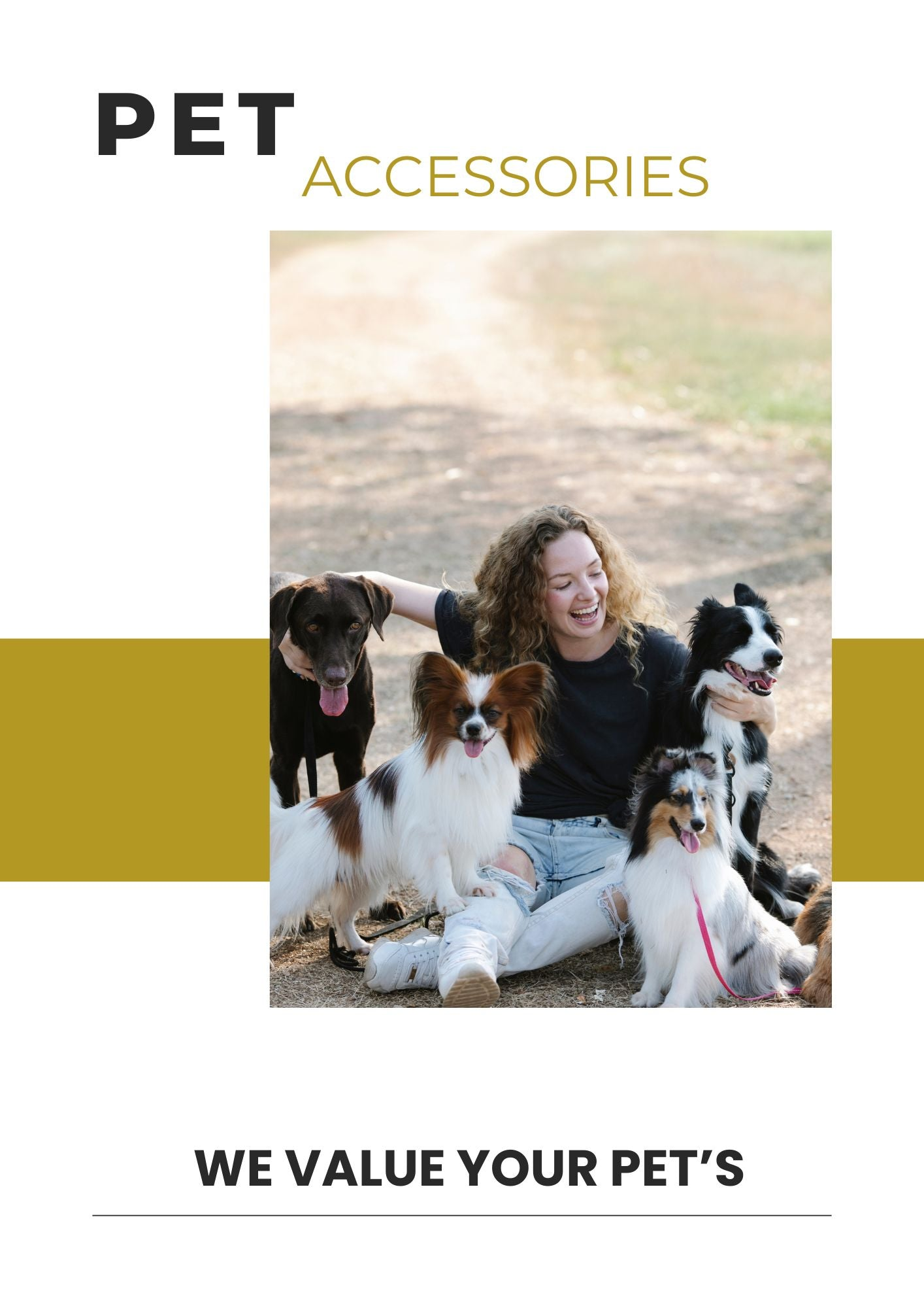 Pet Accessories