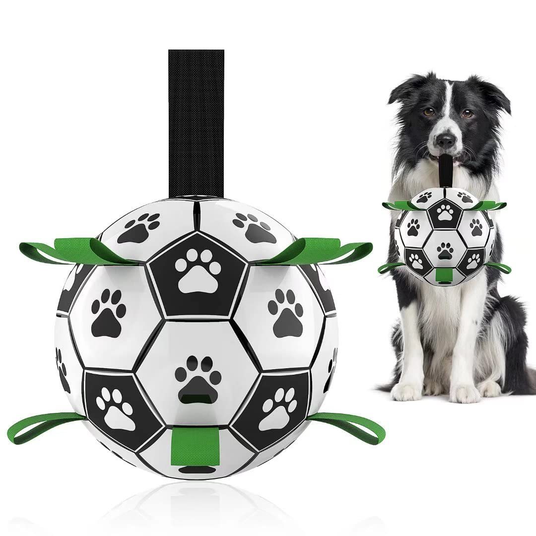 Interactive Football Toy for Pet