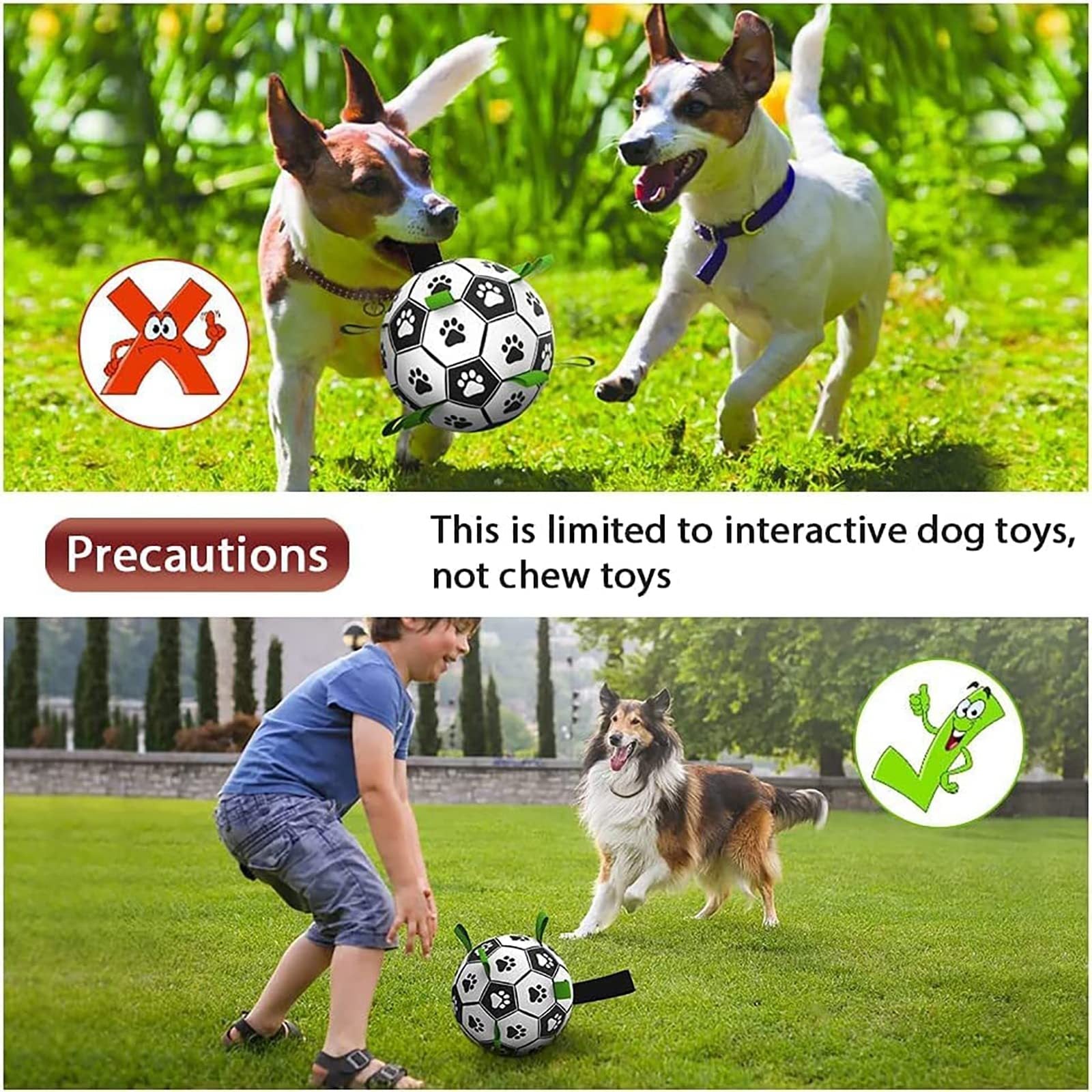 Interactive Football Toy for Pet