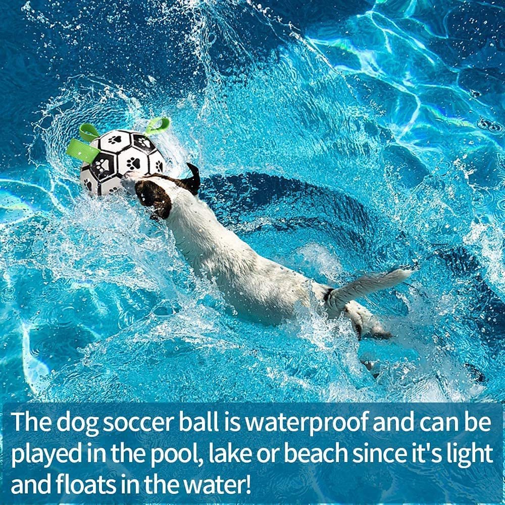 Interactive Football Toy for Pet