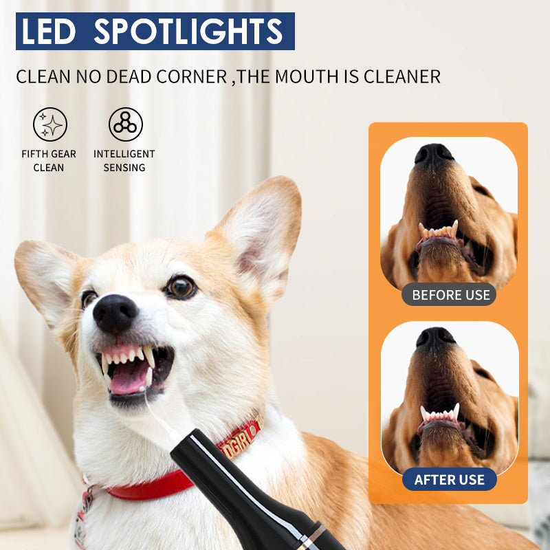 Ultrasonic Pet Teeth Cleaning Device